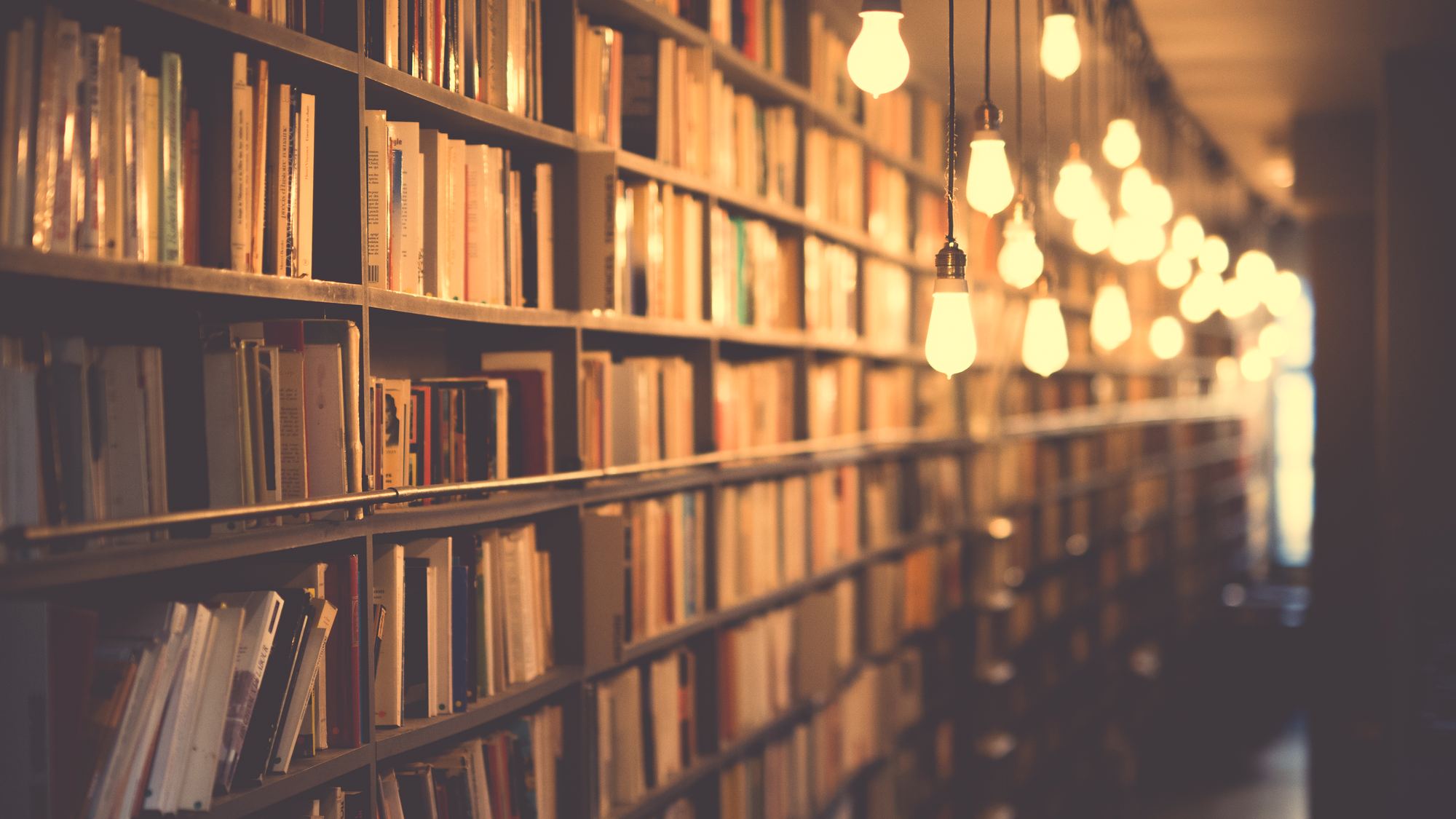 Warm light over long shelves of secondhand books